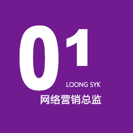 网络营销总监